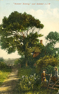 Summer Evening near Godshill